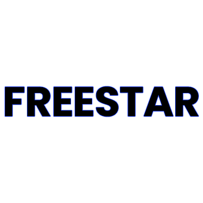 Ford Freestar Keyless Entry Remote Key Fobs